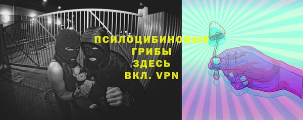 бошки Балахна